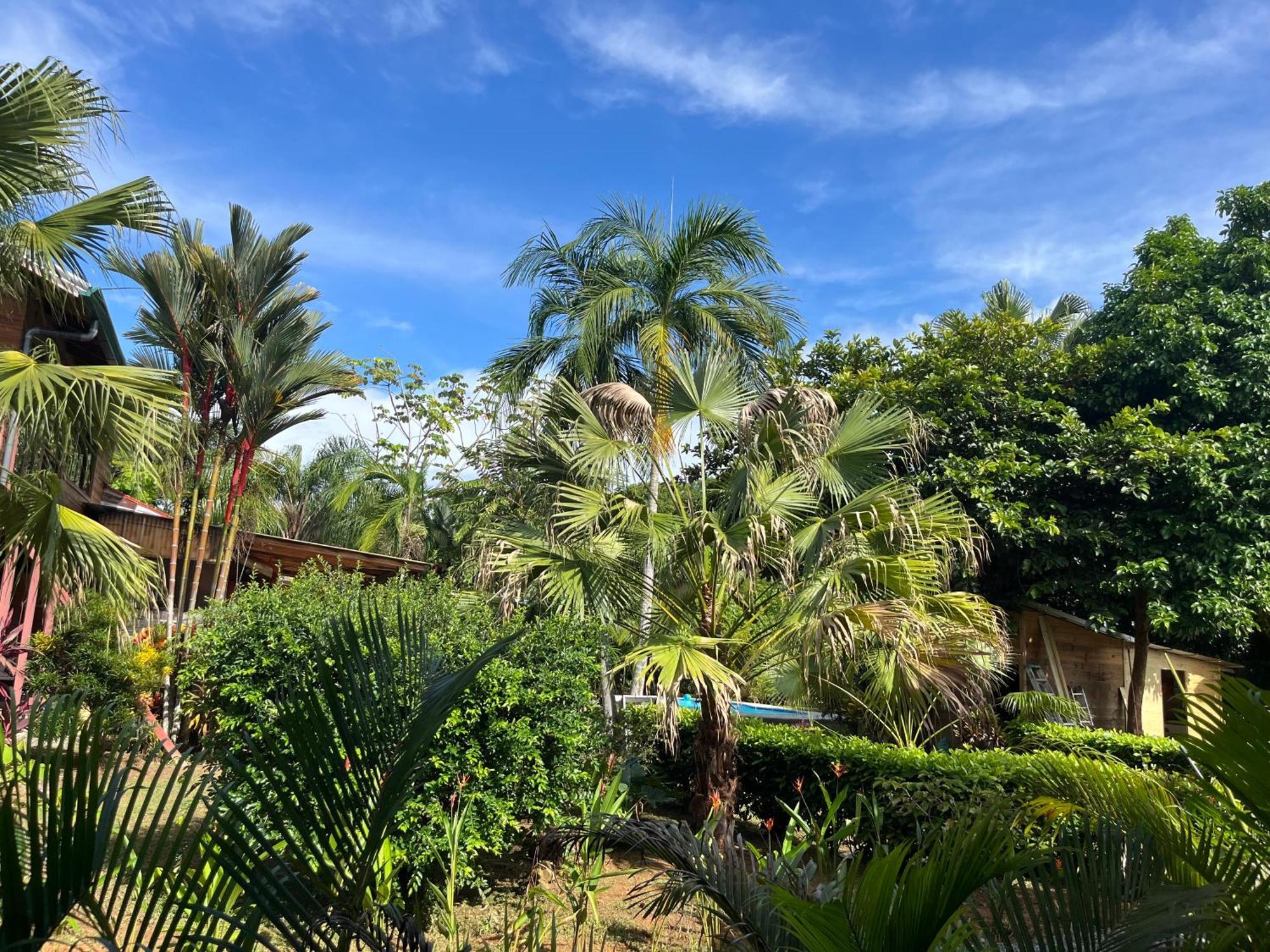 Uvita Oasis Retreat With Villa Cabins And Apartment Exterior photo